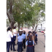 Paseo didáctico por la Plaza 25 de mayo - 1er. Grado Turno Mañana